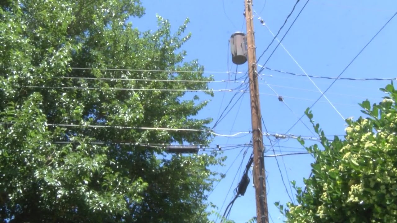 Neighbors concerned with tree branches hitting power lines, sparking