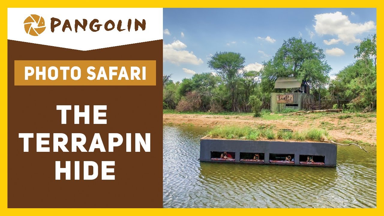 The Terrapin Hide For Wildlife Photography | Madikwe Game Reserve, South Africa