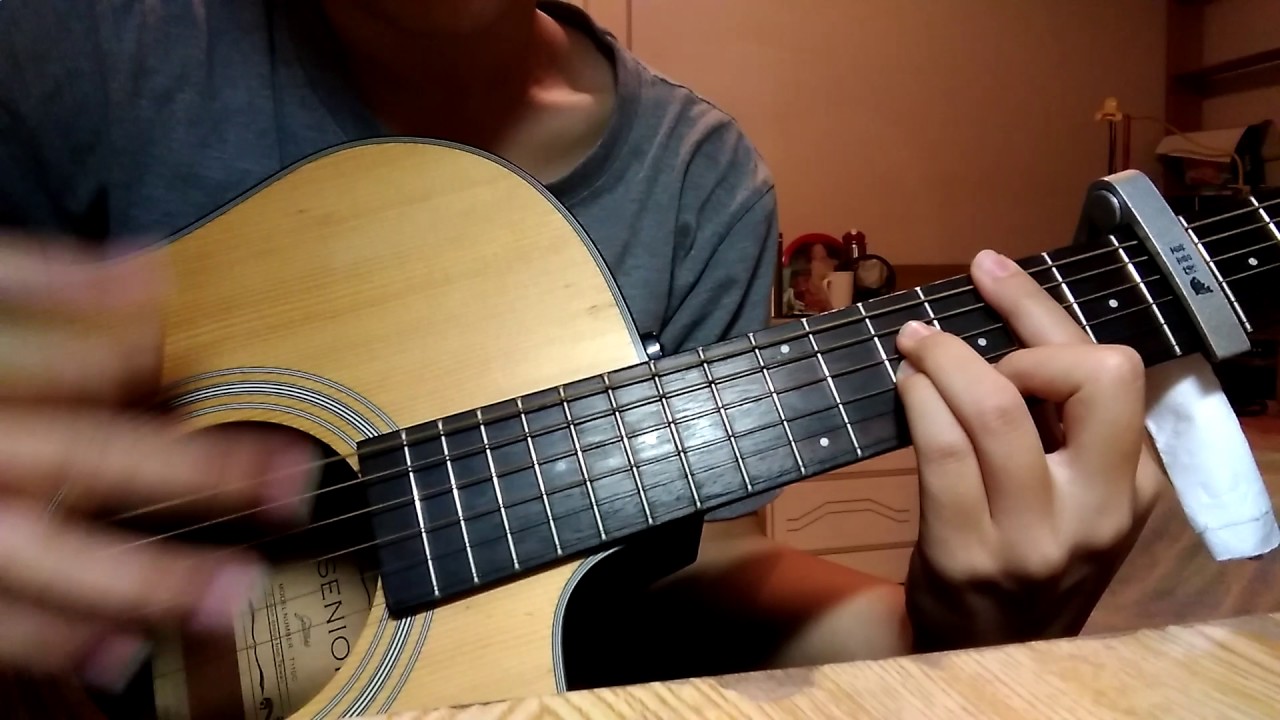 Joy of Convention(guitar cover)
