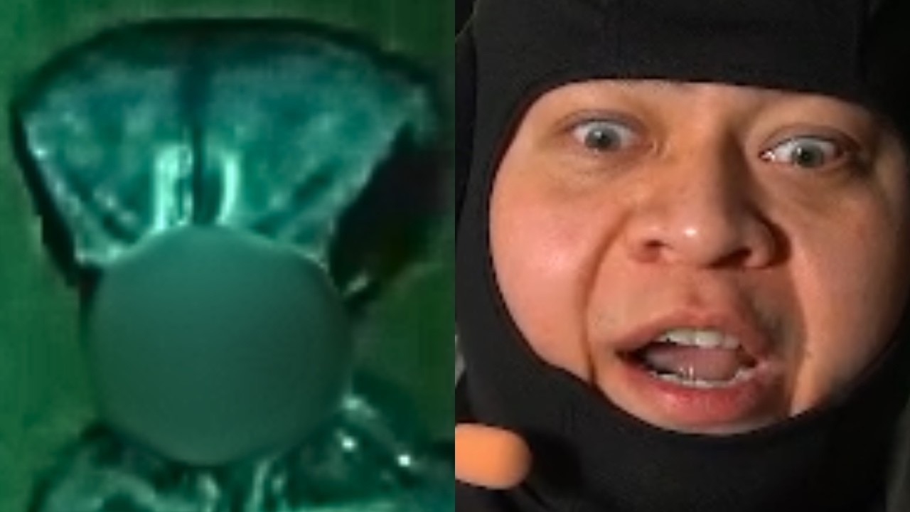 I SAW AN ALIEN!😱