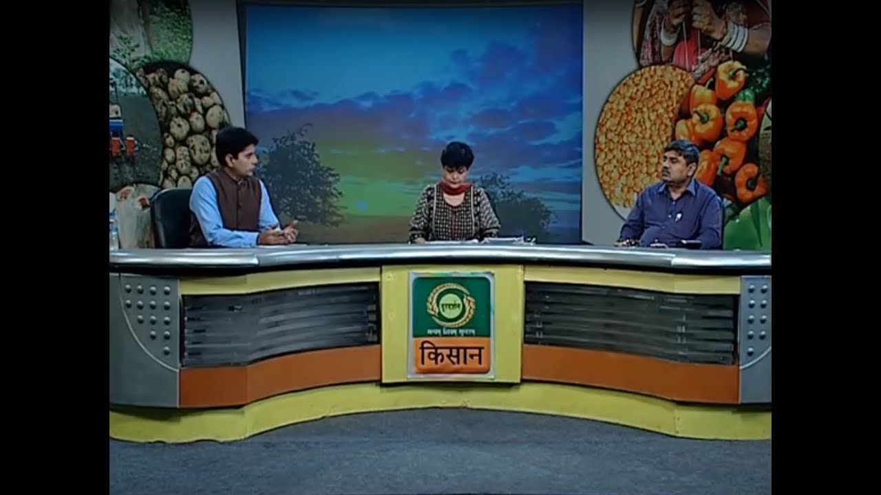 Hello Kisan - Polyhouse and bamboo farming special