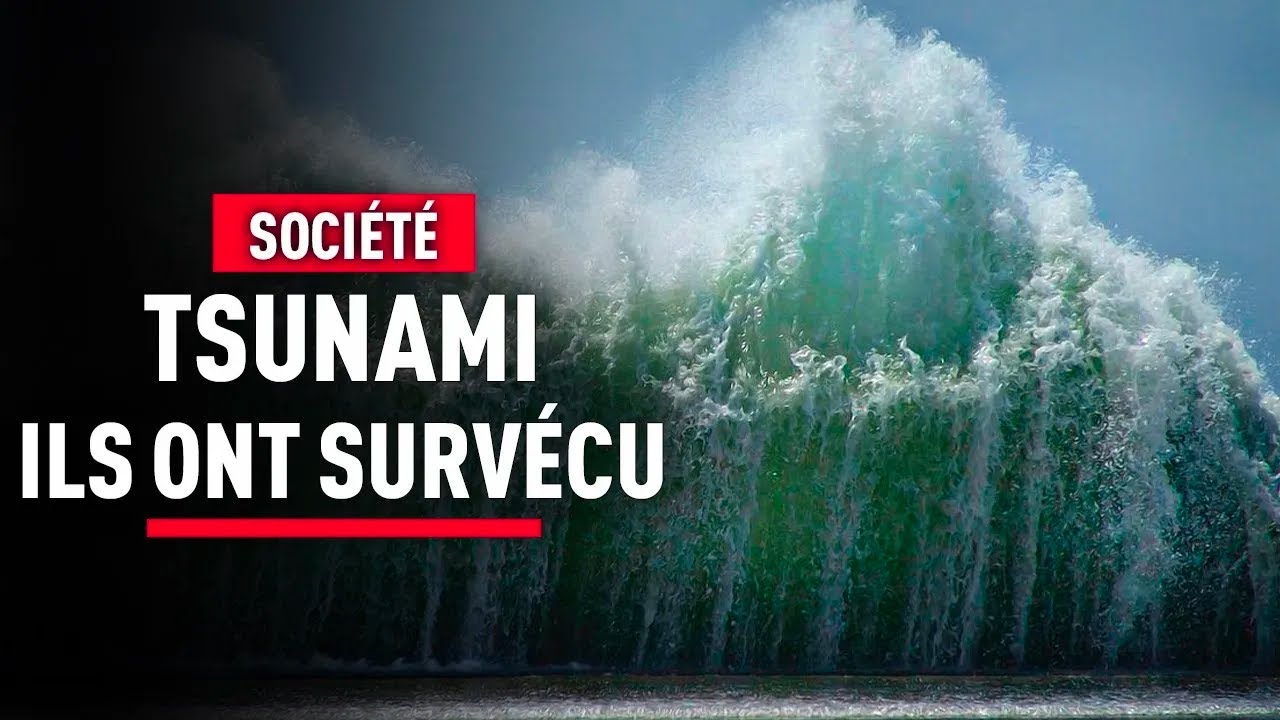 10 ans apr&egrave;s un tsunami, on a retrouv&eacute; des rescap&eacute;s - Reportage - BSF