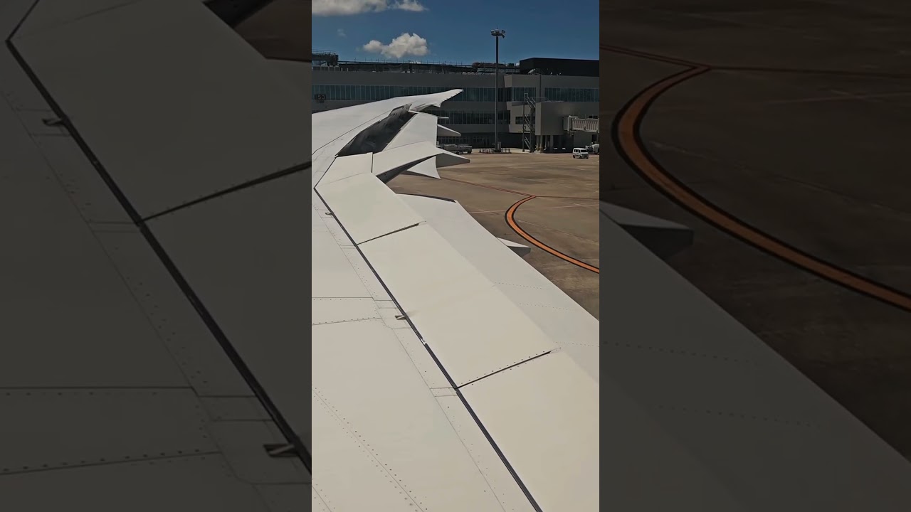 EVA Air B787-10 | Flaps 5 & Flight Control Check