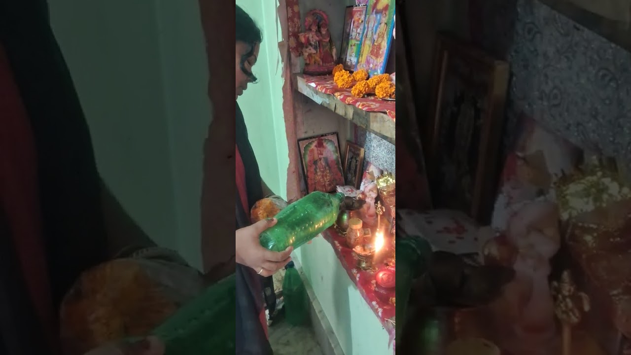 বাড়ির গাছে টমেটো হয়েছে