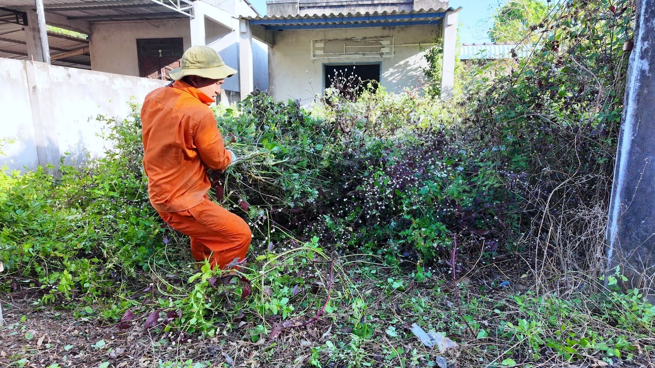 21 Minutes of FIGHTING to RESCUE a House ABANDONED for Years