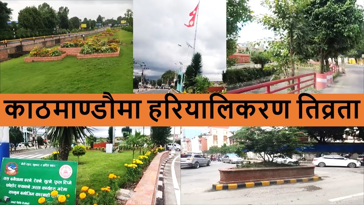 Balen Action for Kathmandu Greenery | Street Greenery in Kathmandu | Results of Balen Action in KTM