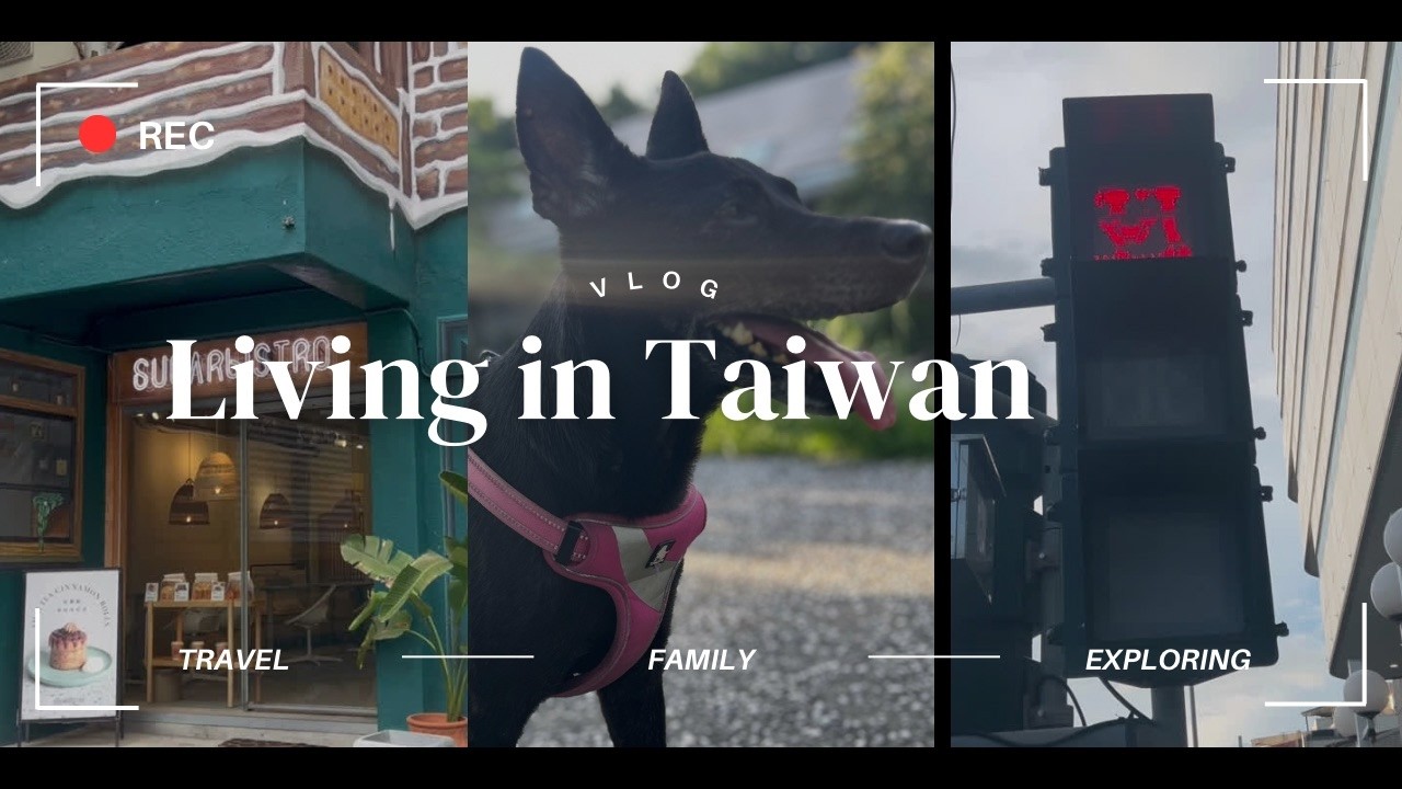 Travel in Taiwan with my French fiancé, Trying All Traditional Taiwanese Food, Family Reunion
