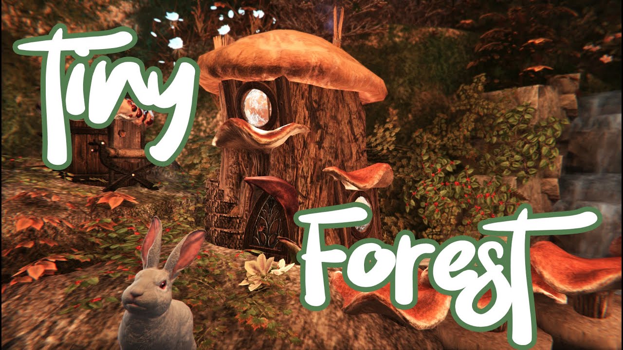 Tiny Forest - ESO House Tour (inn room)
