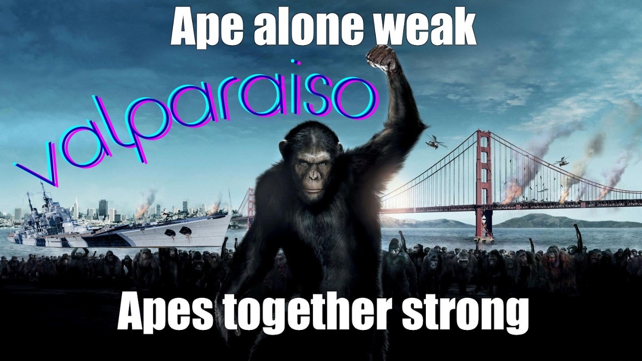 Apes Together Strong! Valparaiso