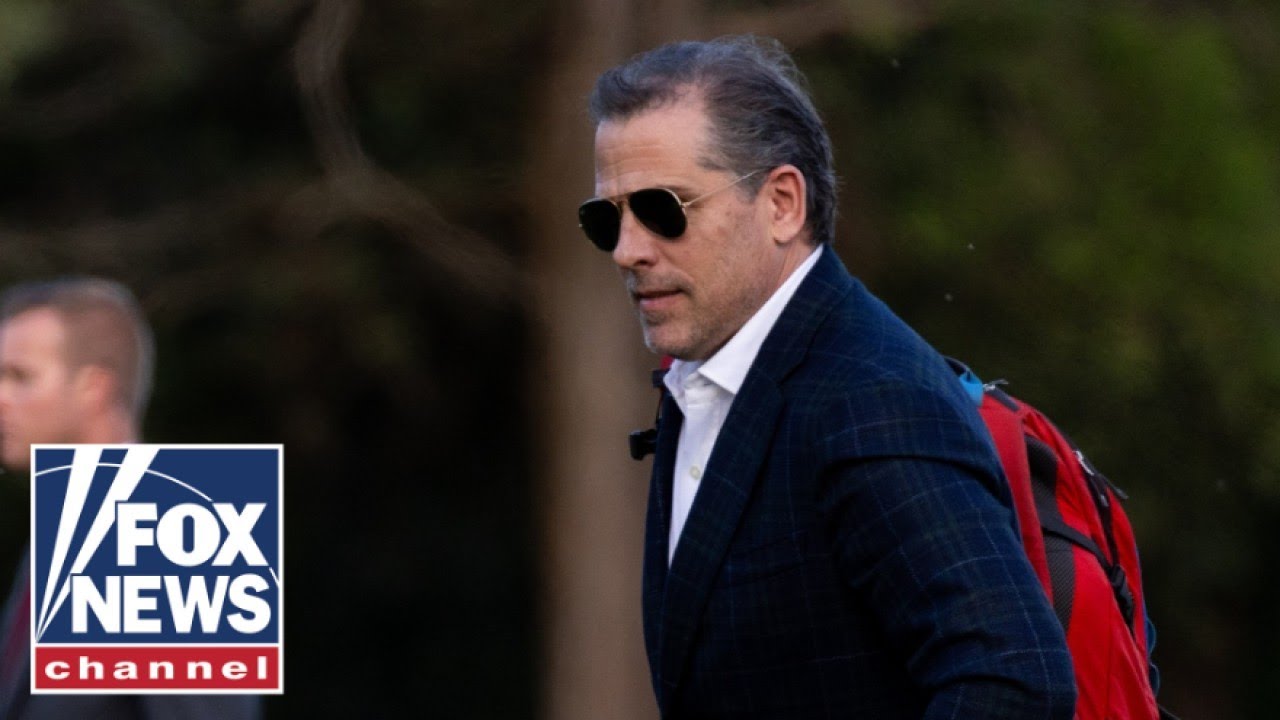 'BIDEN BRAND': Interview transcript of Hunter Biden's ex-associate revealed