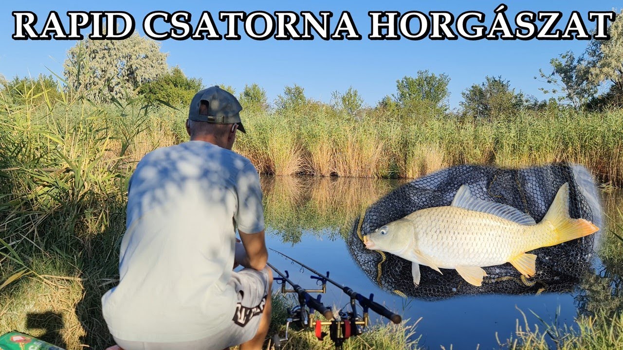 Rapid csatorna horgászat - Csatorna pontyok nádszélből