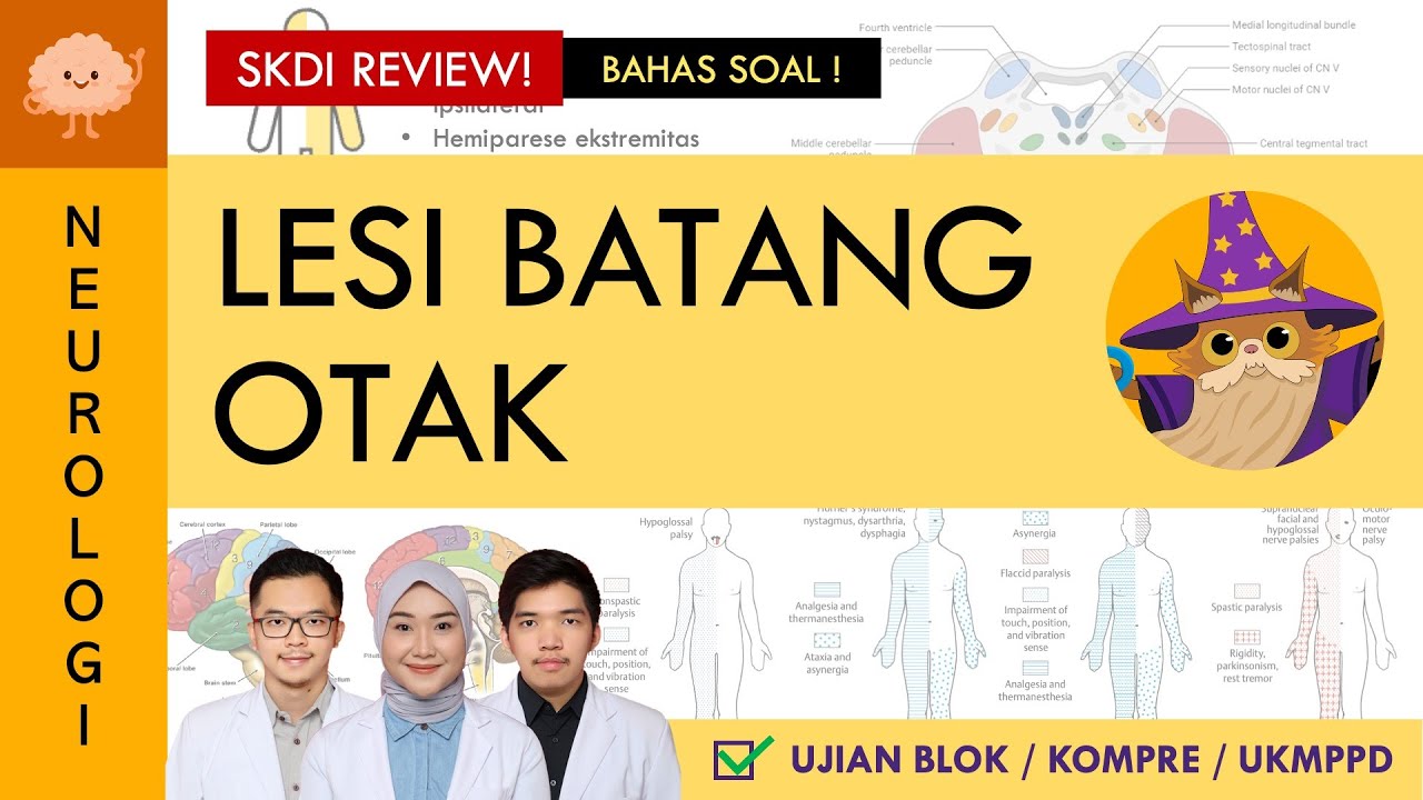 [UKMPPD - SKDI REVIEW] Lesi Batang Otak - Pahami clue di soal! | Sistem Saraf #43