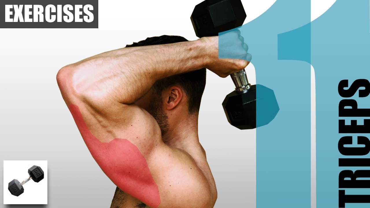 11 TRICEPS EXERCISES YOU CAN DO WITH ONLY ONE DUMBBELL