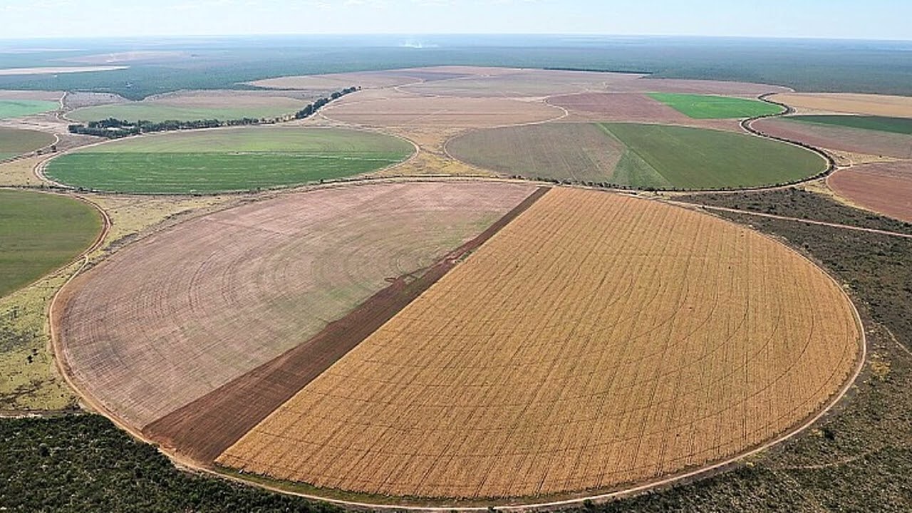 Cerrado: diversidade ecológica, usos do território e desafios de conservação