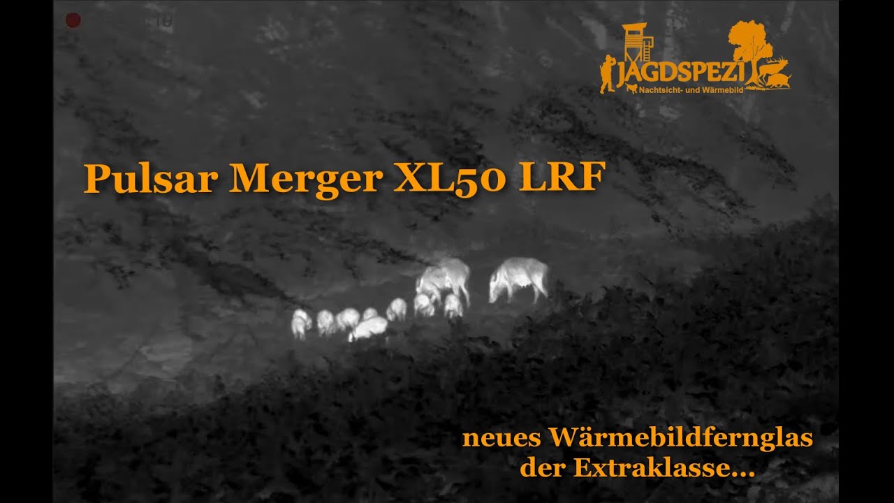 Pulsar Merger XL50 LRF, neue Dimension in punkto Auflösung. Neues Wärmebildfernglas der Oberklasse !