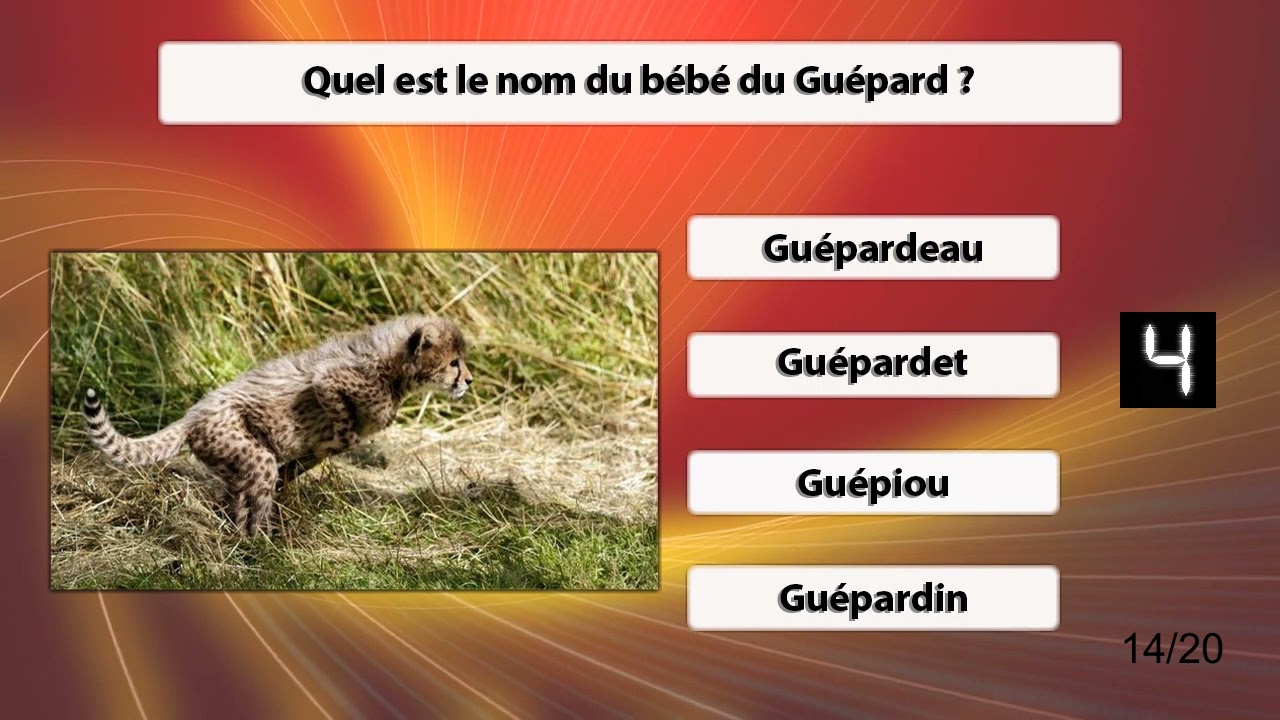 QUIZ : LES BÉBÉS ANIMAUX