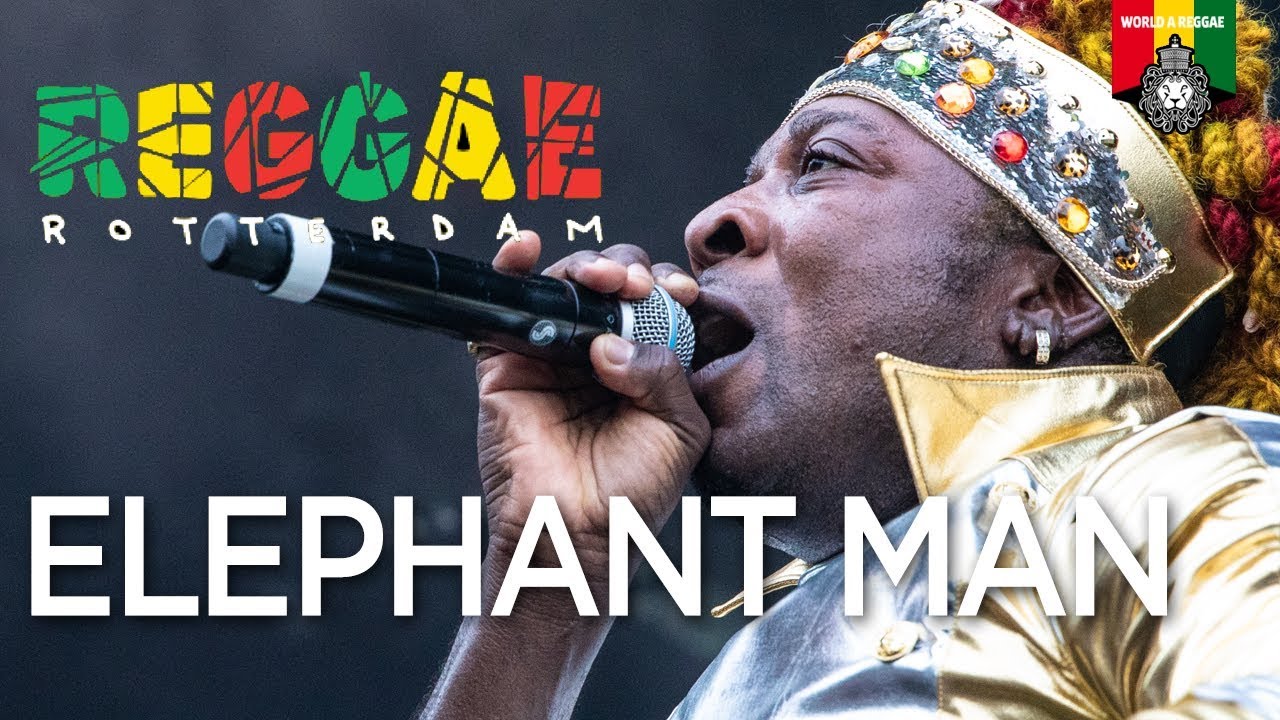 Elephant Man Live at Reggae Rotterdam Festival 2019