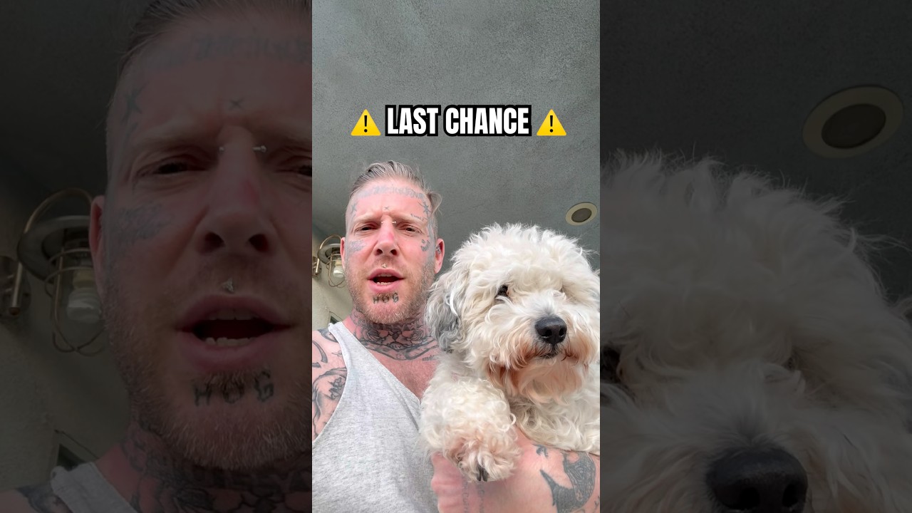 New Album & New Music Video drop TOMORROW! Pre-Order the album and listen at midnight! #tommacdonald