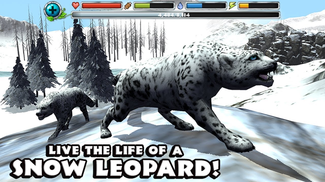 Snow Leopard Simulator Android Gameplay