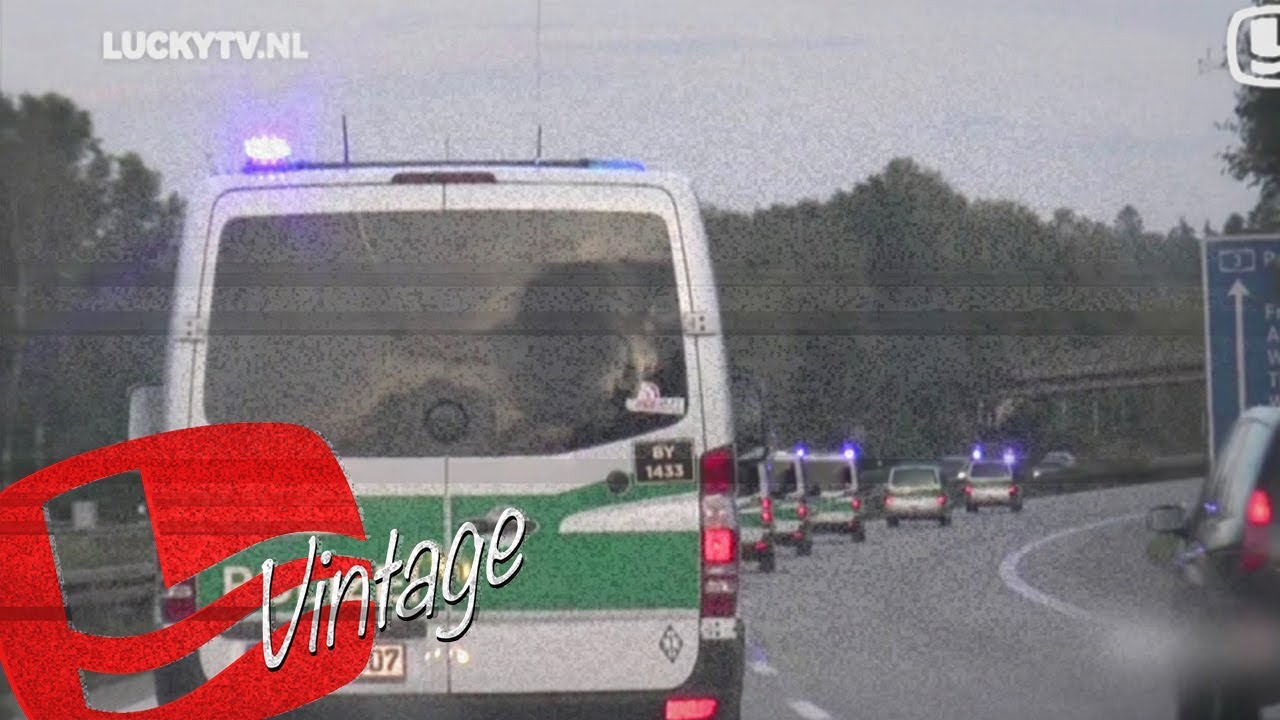 Willy, Max, Bea en het hakenkruis - LuckyTV Vintage