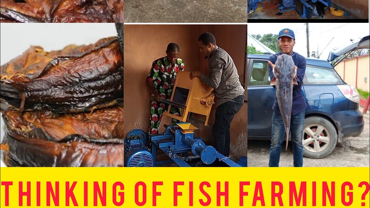 FISH FARM MACHINERIES: THE SECRET OF SUCCESSFUL FISH FARMERS.