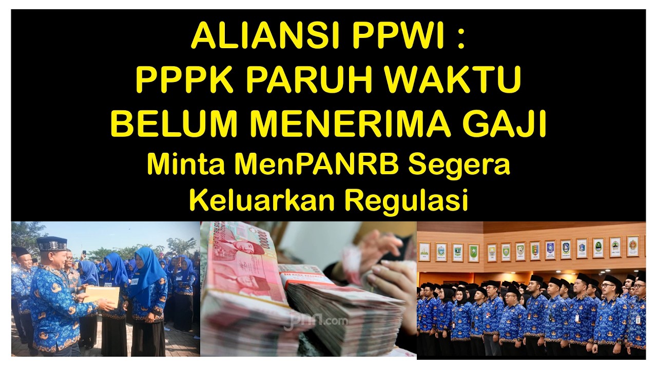 PPPK PARUH WAKTU MASIH BANYAK BELUM TERIMA GAJI, ALIANSI MINTA SEGERA MENPAN RB KELUARKAN REGULASI