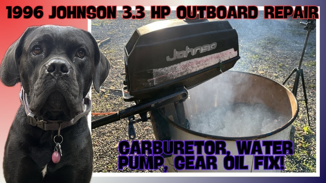 1996 Johnson 3.3 HP Outboard Repair: Carburetor Rebuild, Water Pump Impeller & Gear Oil Change