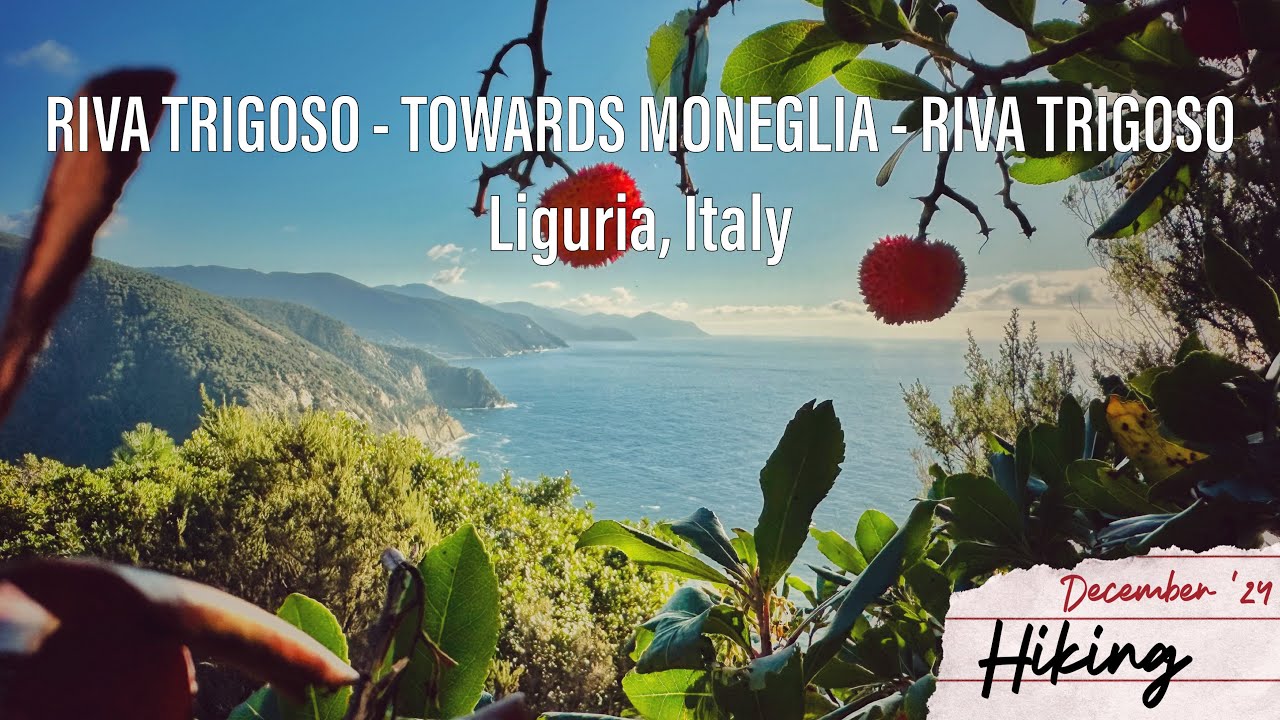 🇮🇹 Hike from Riva Trigoso towards Moneglia in Liguria 15.12.24 Из Рива Тригосо в сторону Монельи