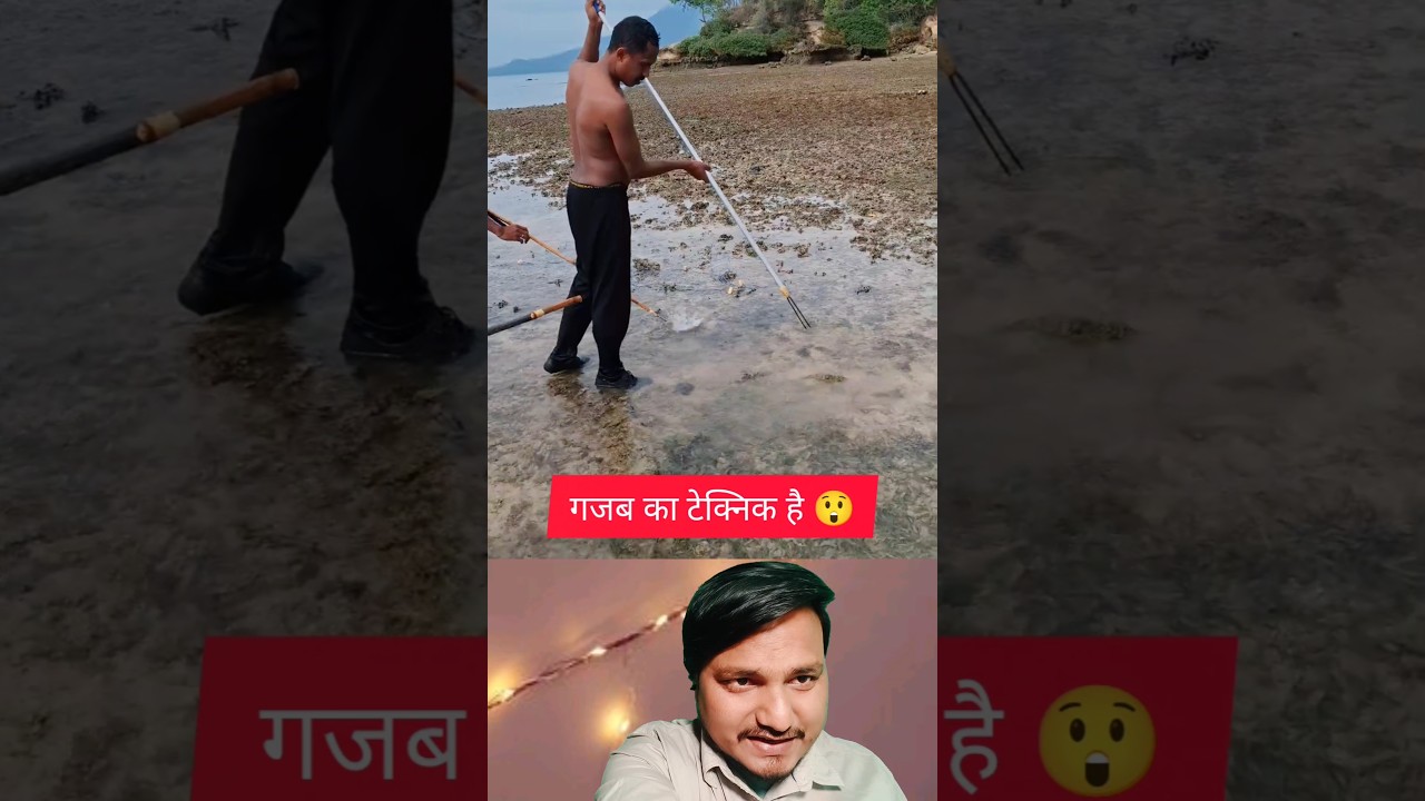 Amazing Village Fishing Technique 😲 Desi Jugaad Fish Catch #shorts #fishing #technique #video