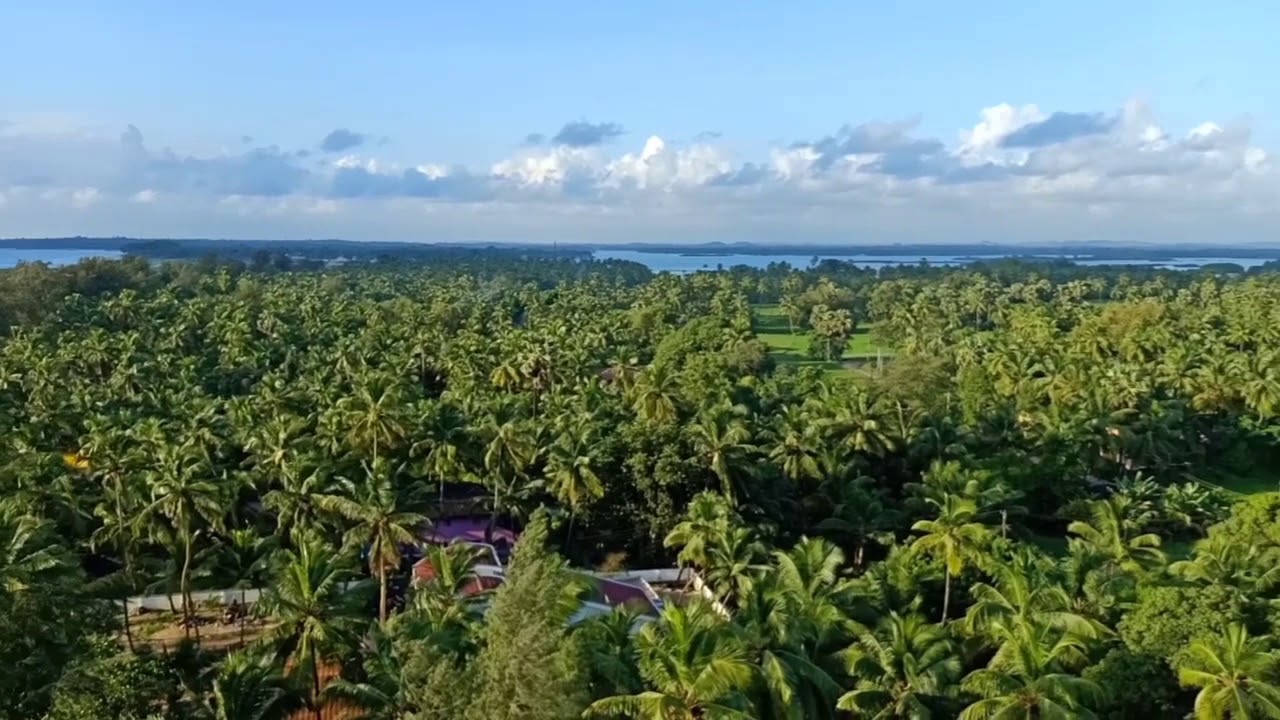Kodi Beach Sea Walk
