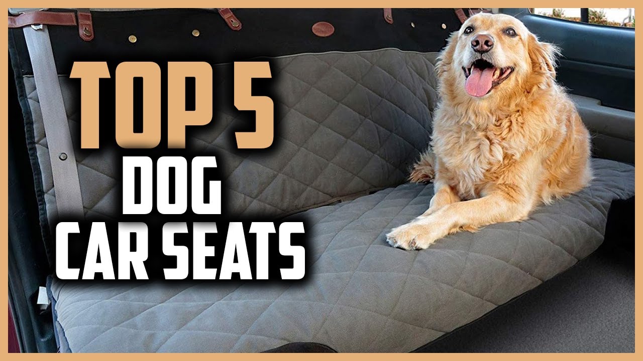 ✅Top 5 Best Dog Car Seats of 2026