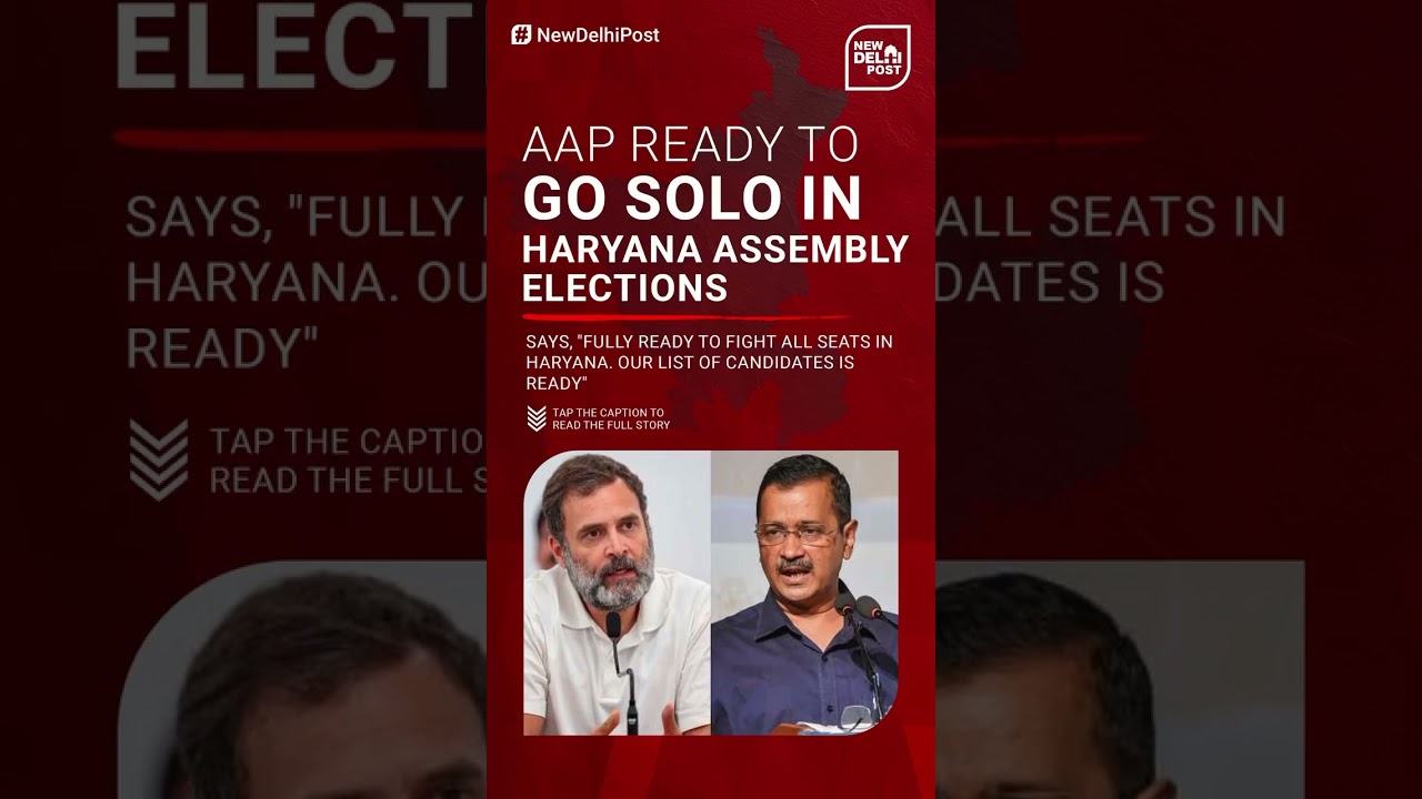 AAP to contest solo in Haryana Assembly Election | No Alliance with Congress #ytshorts
