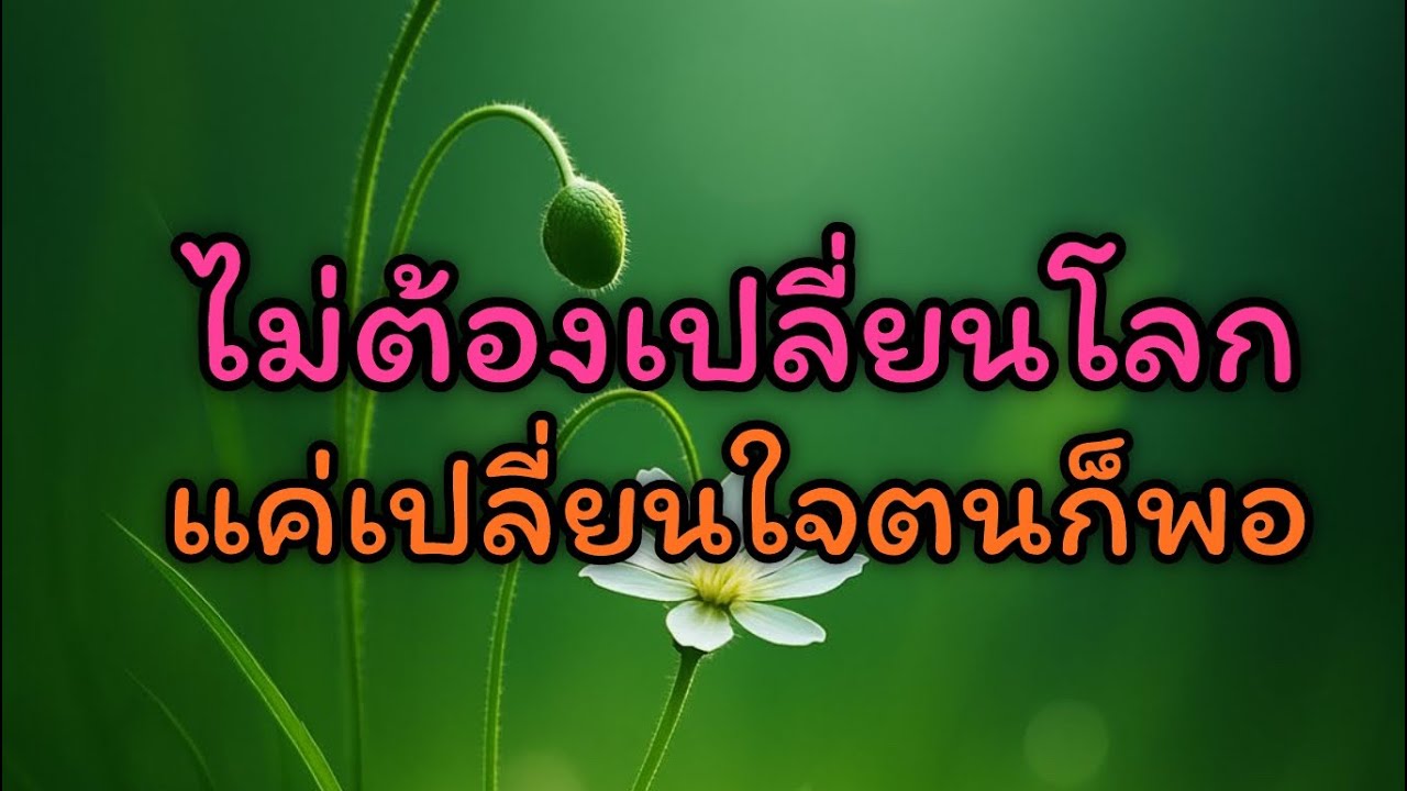 ไม่ต้องเปลี่ยนโลกแค่เปลี่ยนใจตนก็พอ☘️❤️#dhamma #ธรรมสอนใจ #mindset #music #love 