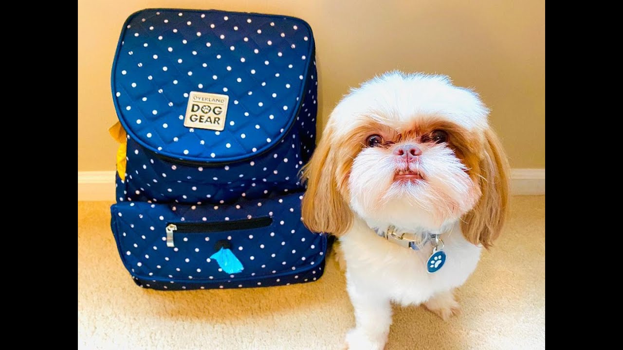 WHATS IN MY DOGS TRAVEL BAG 2020
