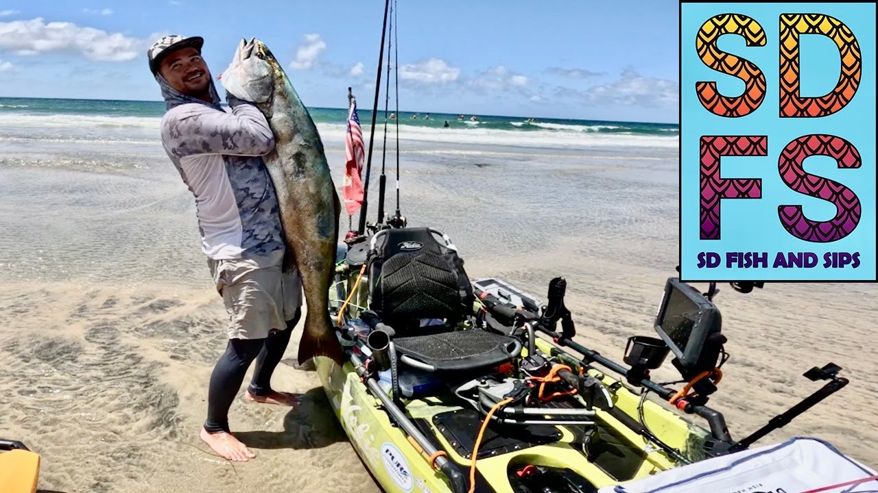 White Seabass Fishing La Jolla | Solo Skiff & Kayak | Dropper Loop Mackerel | San Diego Spring SDFS