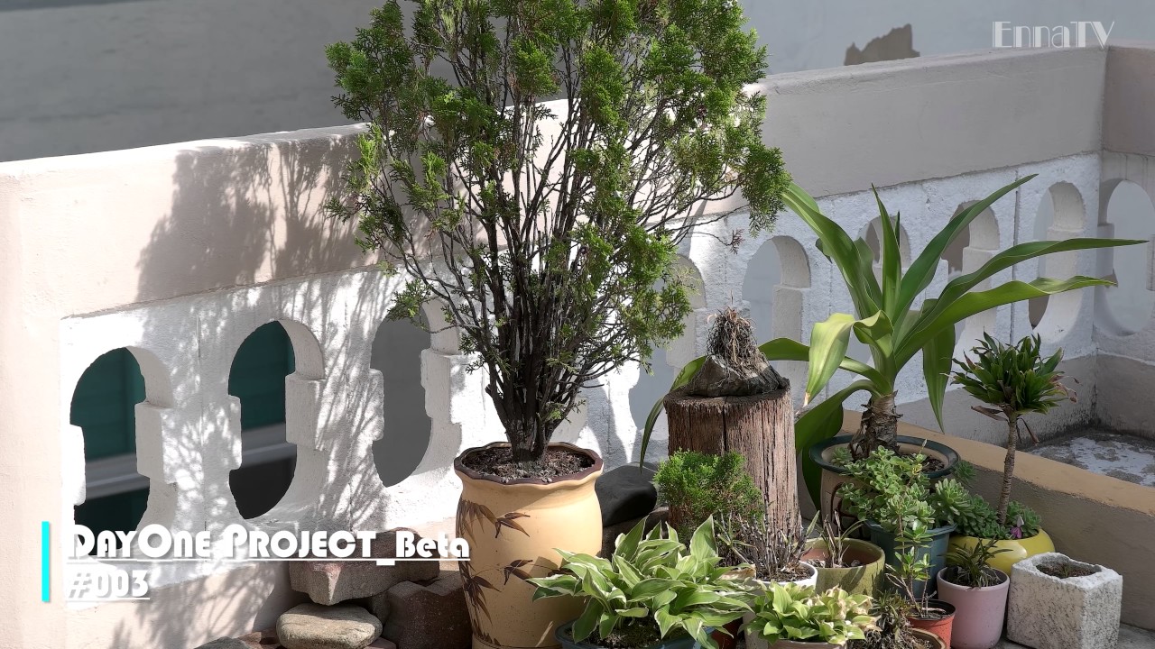 [DayOne Project Beta] #003 / Little Garden / TEST CLIP