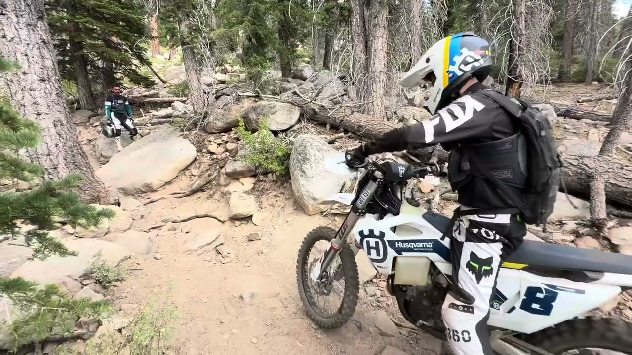 Jackass trail 2025