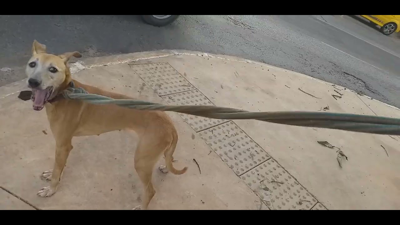 CARAMELO JHENNER 15 ANOS E 6 MESES ALTOS E BAIXOS 