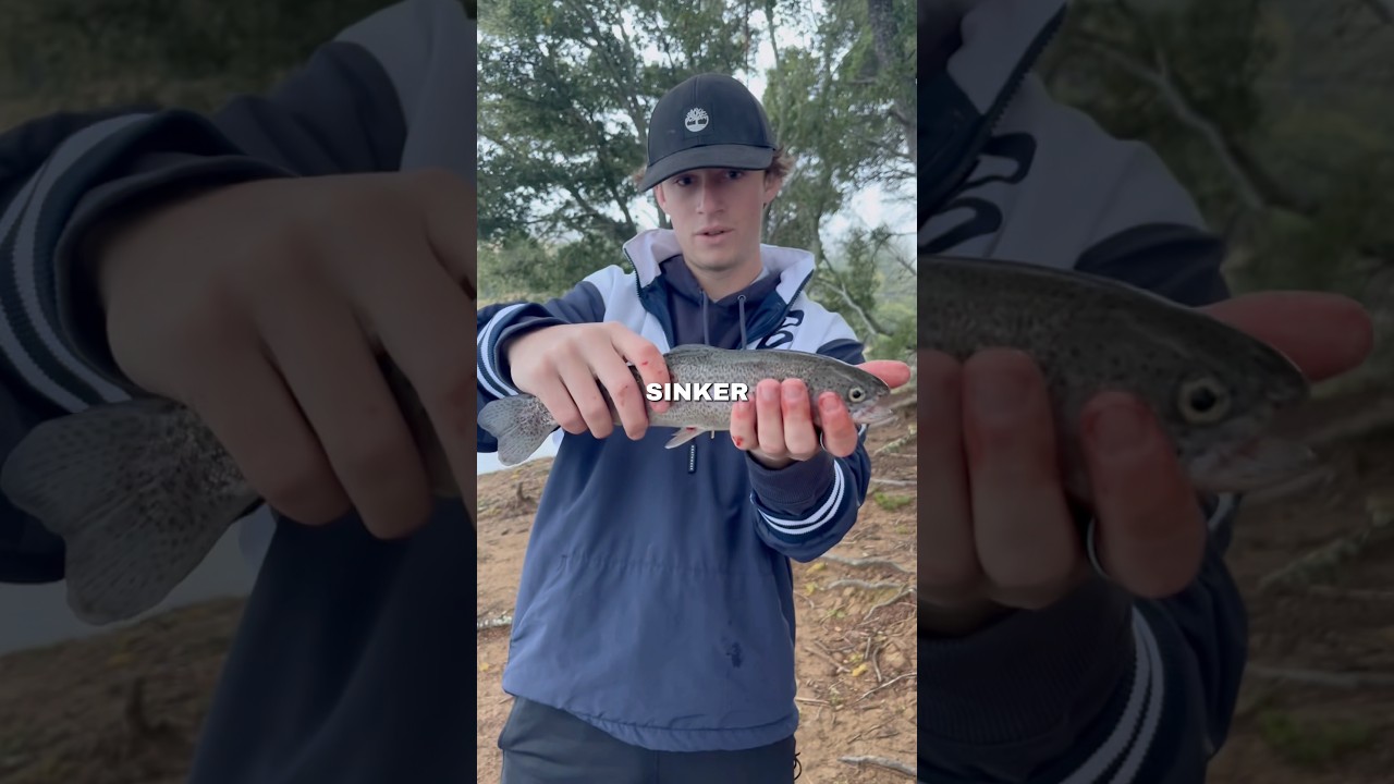 How To Catch Stocked Trout!