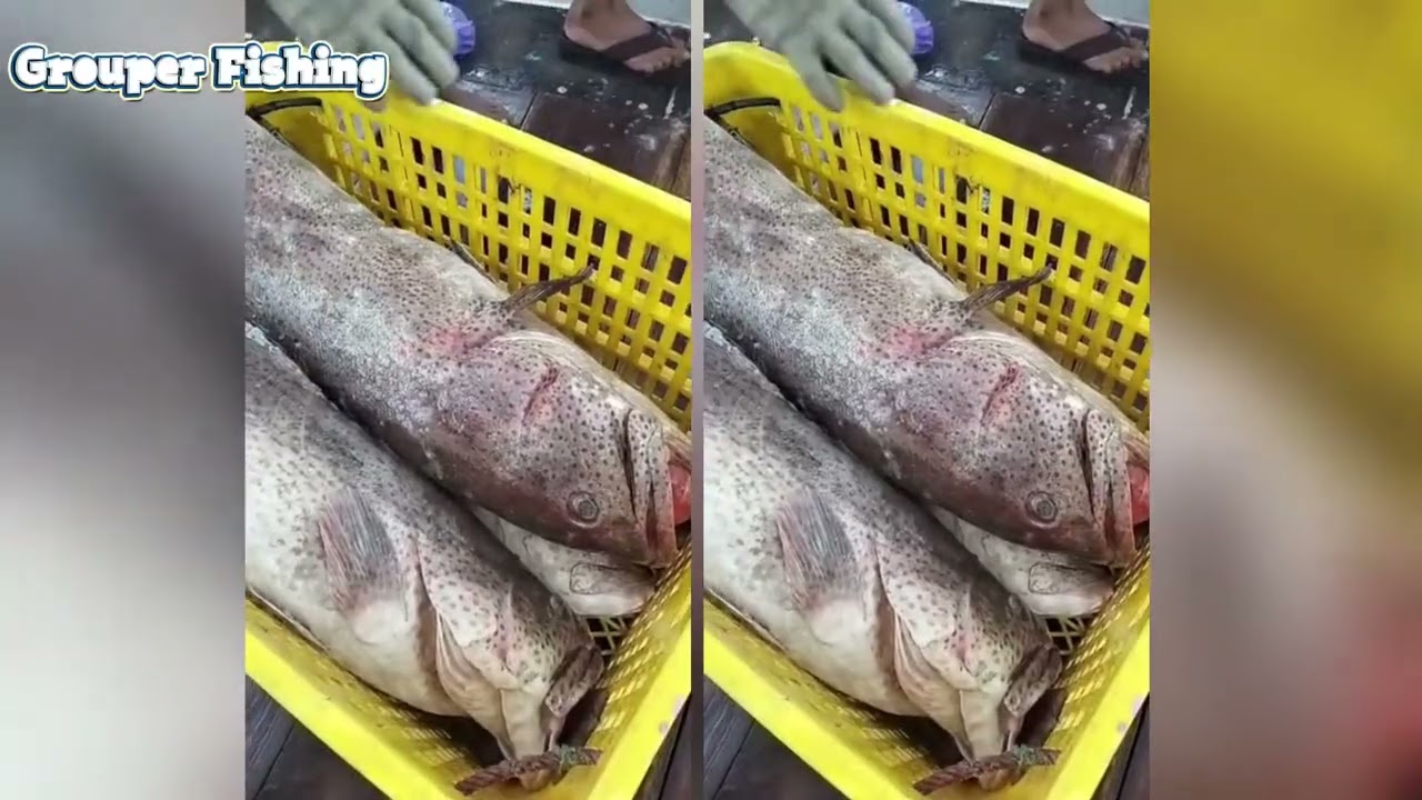 Inside the World's Biggest Fish Market | Amazing Fishing & Fresh Fish