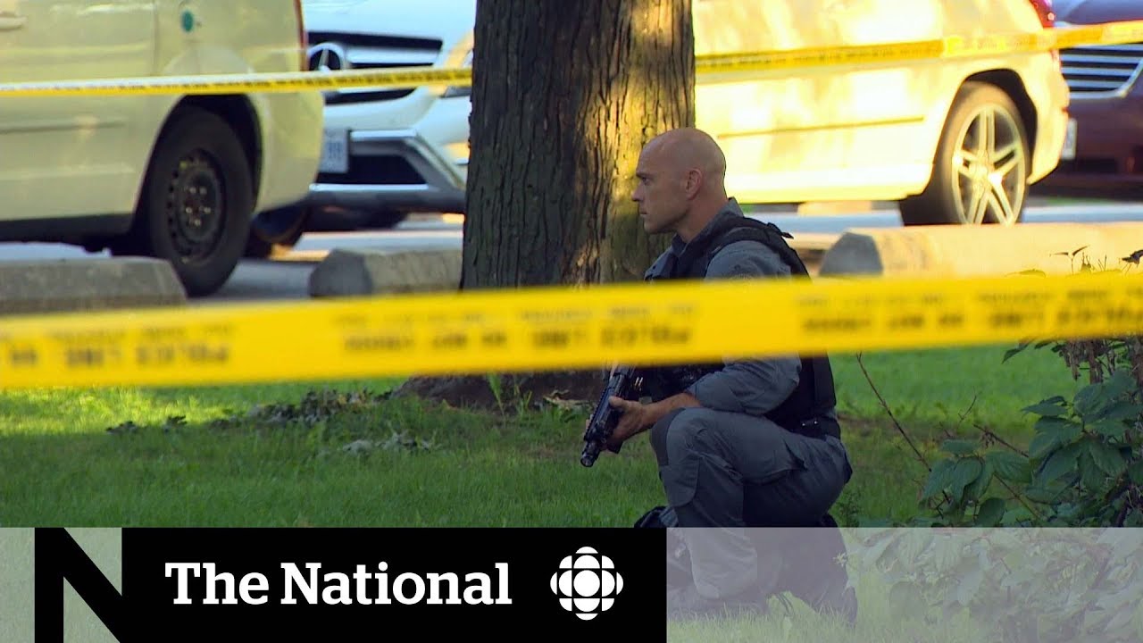 Long weekend gun violence in Toronto reignites calls for handgun ban