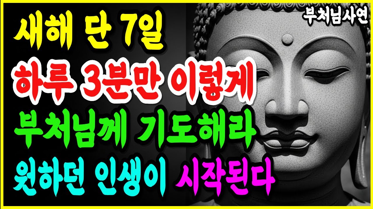 새해첫날부터 1주일동안 이렇게 부처님께 기도하세요 놀라운 일이 일어납니다