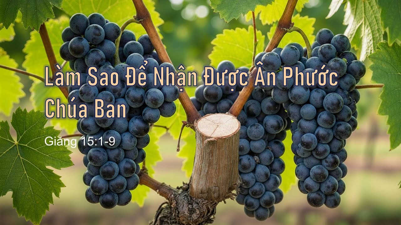 Làm Sao Để Nhận Được Ân Phước Chúa Ban - Mục sư Nguyễn Phi Hùng