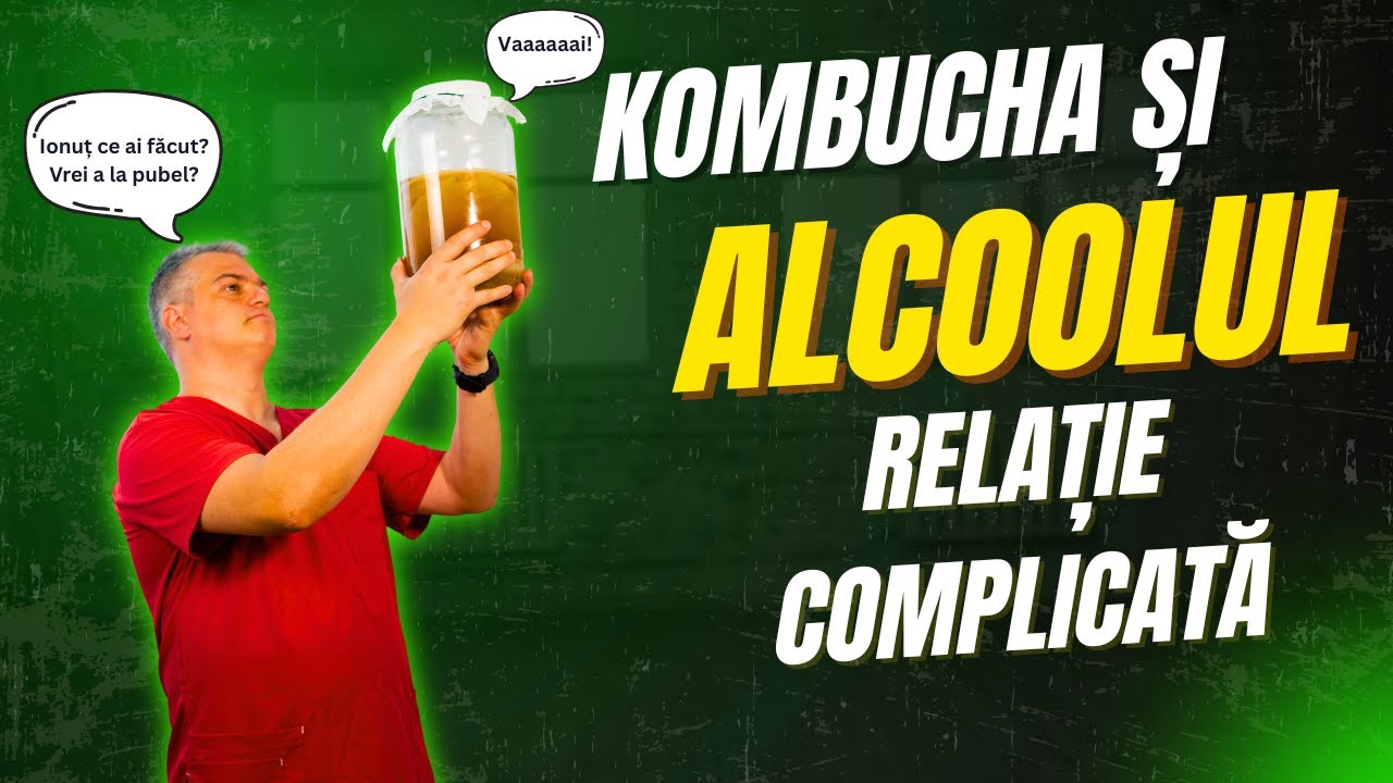 Adevărul despre kombucha și alcool – procesul complet explicat | @kombucius.ro