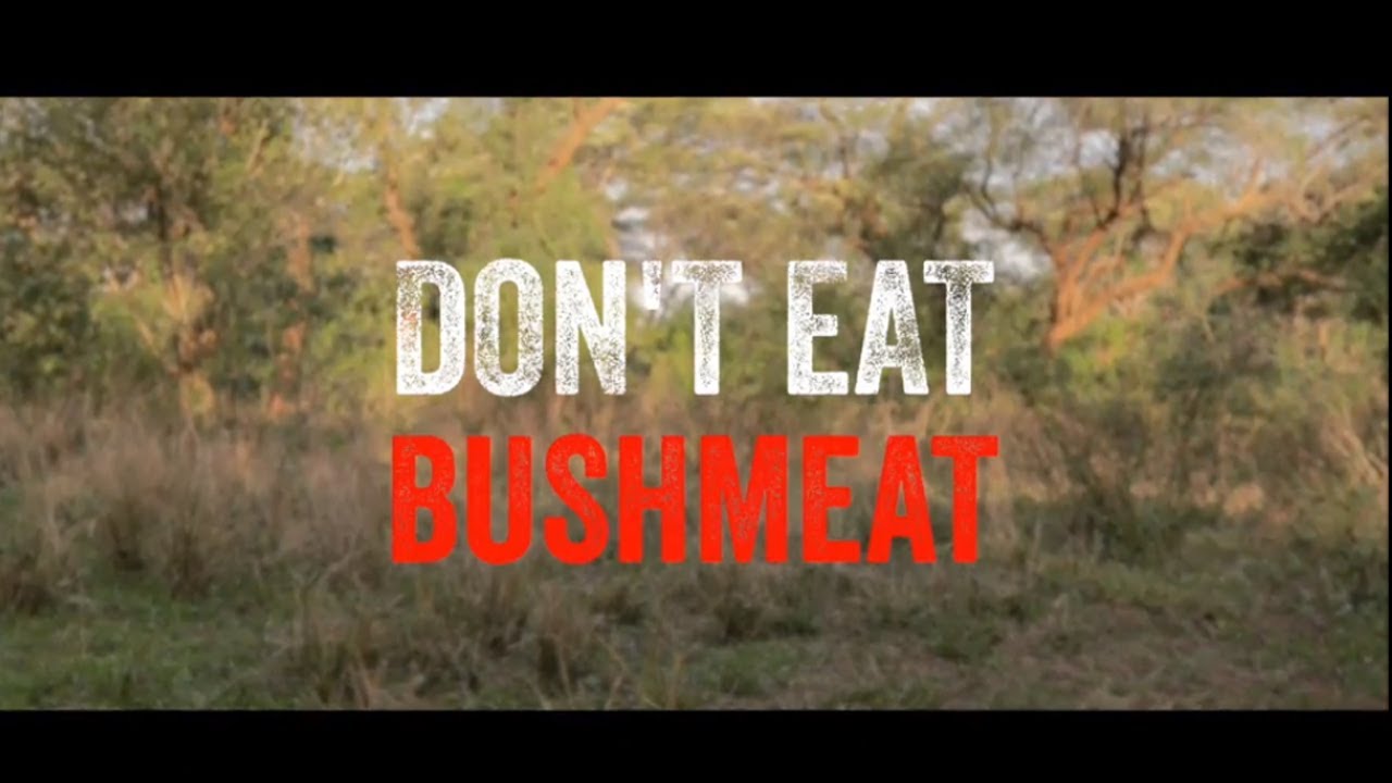 Don't Eat Bushmeat