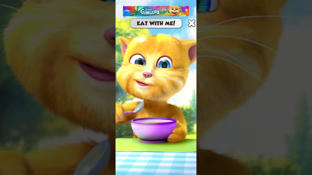 Talking ginger 2 eat with me cat 🐱 video