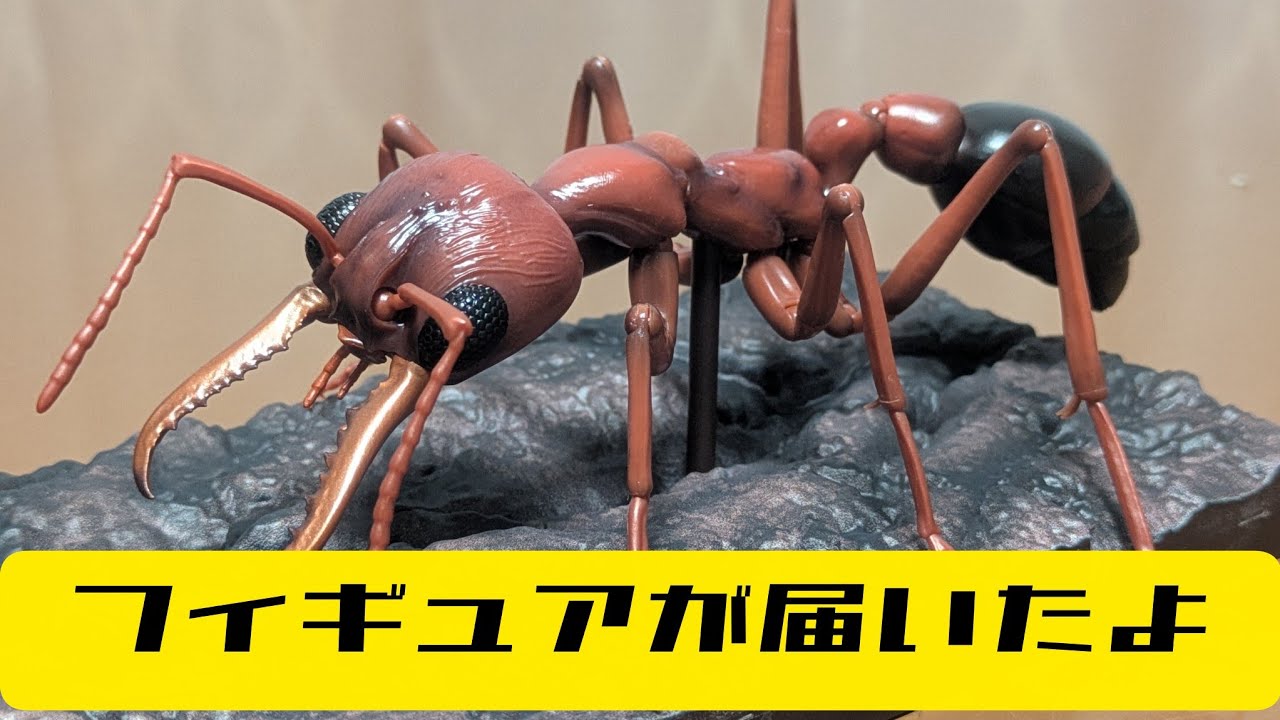 ブルドックアリのフィギュアが届いたよ！！　バンダイガシャポン　生き物大図鑑