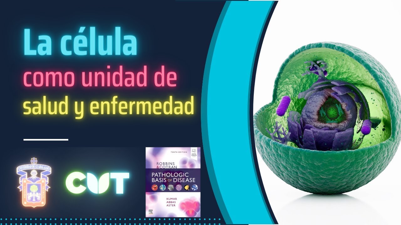 La célula como unidad de salud y enfermedad - Curso 2023B