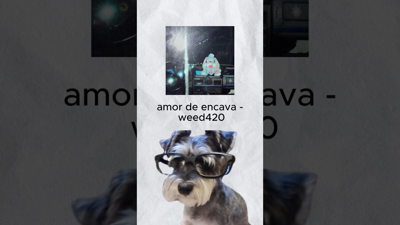 CORTOS DEL PERRO: amor de encava - weed420 🚌🗣️🔥 #weed420 #amordeencava #musica #plunderphonics