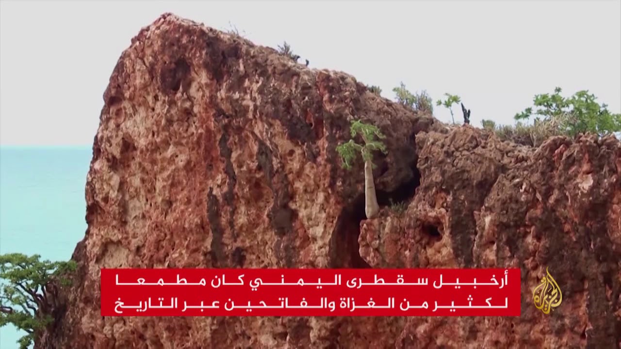 أرخبيل سقطرى اليمني